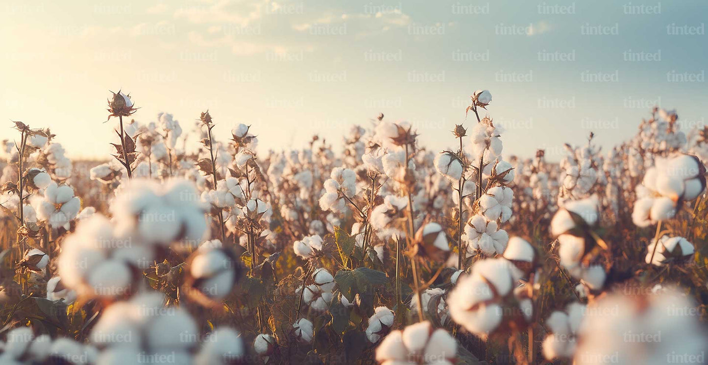 tinted-7291596f5c05