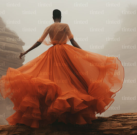 tinted-a-woman-in-an-orange-tulle-skirt-near-a-rock-12f1f623fe0c