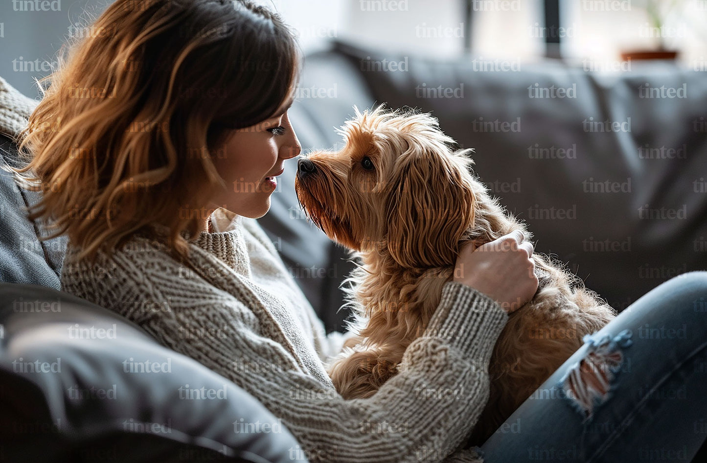 tinted-a-woman-sitting-on-the-couch-and-greeting-a-small-dog-68a3f7d144c5